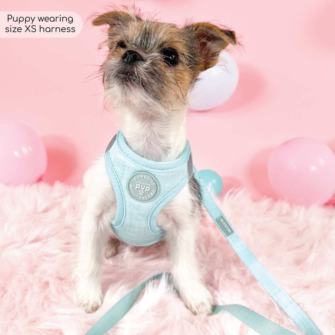 Pawsome Pup Collar and Lead Set - Mint