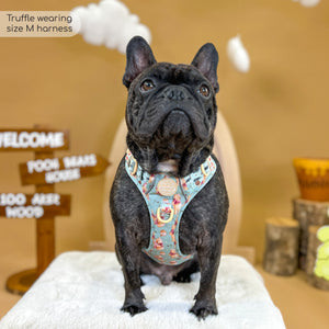Disney© Tough Trails™ Harness - Winnie The Pooh