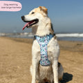 Disney© Tough Trails™ Harness - Stitch's Slumber Party