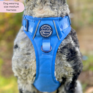 Tough Trails™ Harness - Walkies Ready® Cornflower Blue