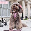 Tough Trails™ Harness -  Leopard Print