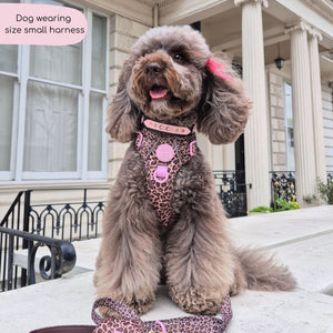 Tough Trails™ Harness -  Leopard Print