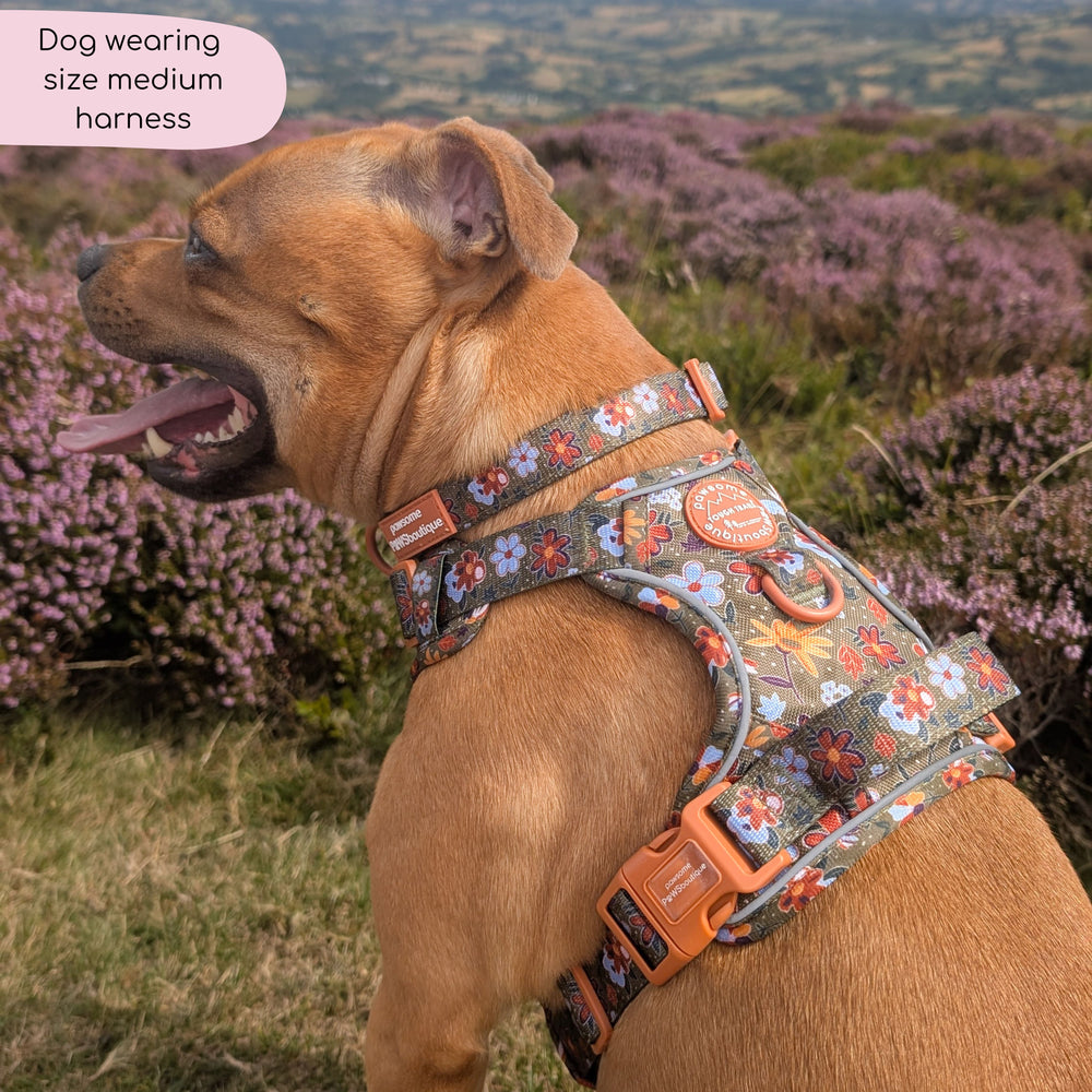 Tough Trails™ Harness - Rust & Bloom