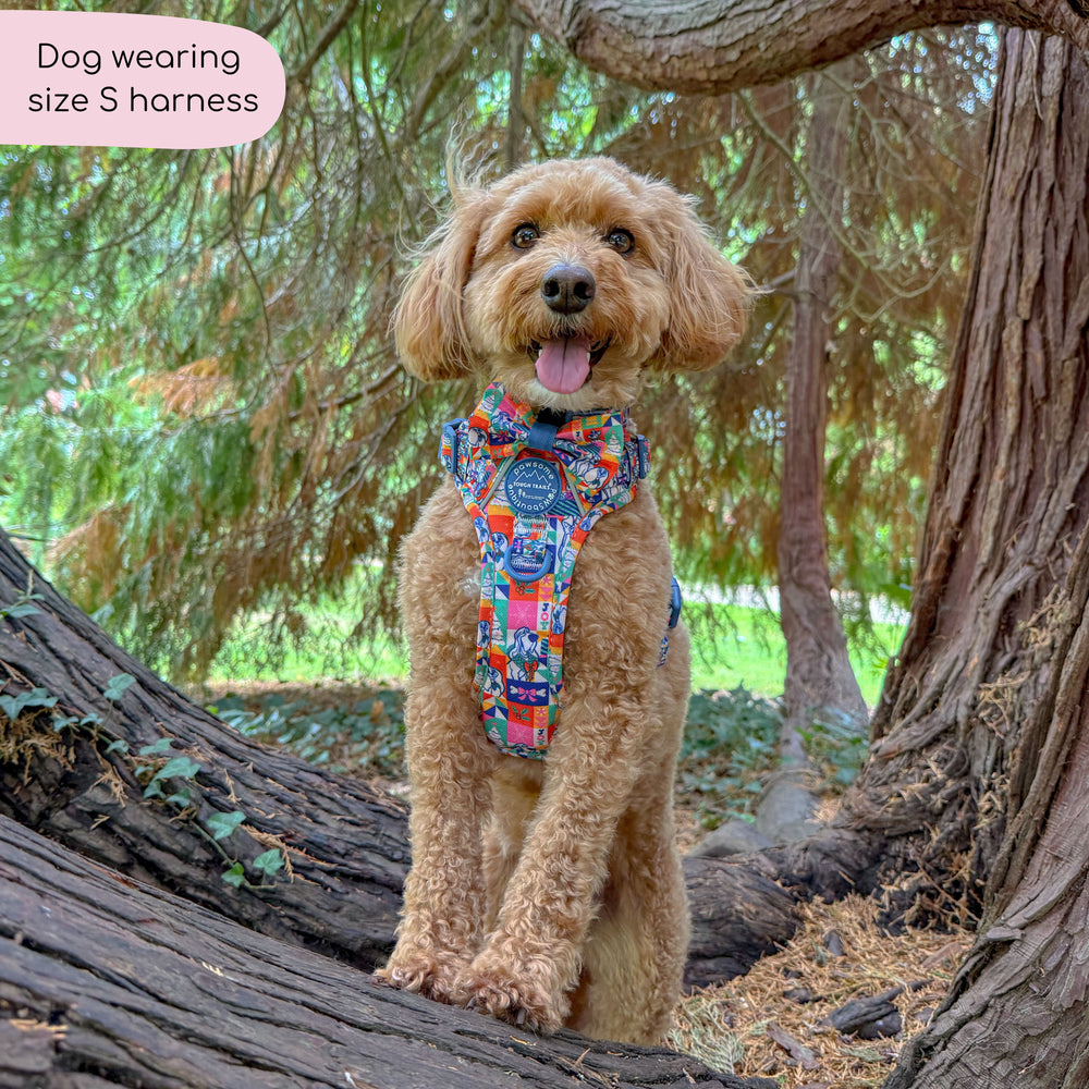 Disney© Tough Trails™ Harness - Lady + The Tramp