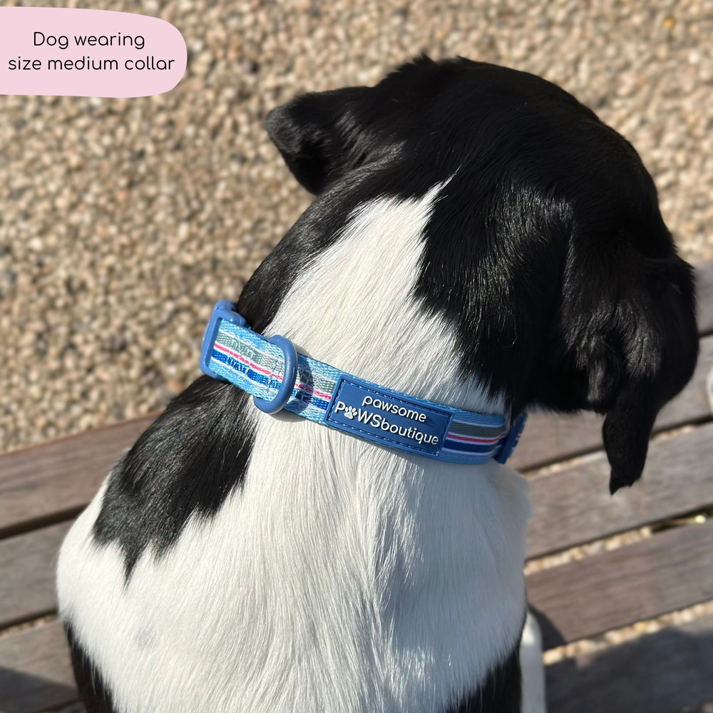 Collar - Sailor Stripes