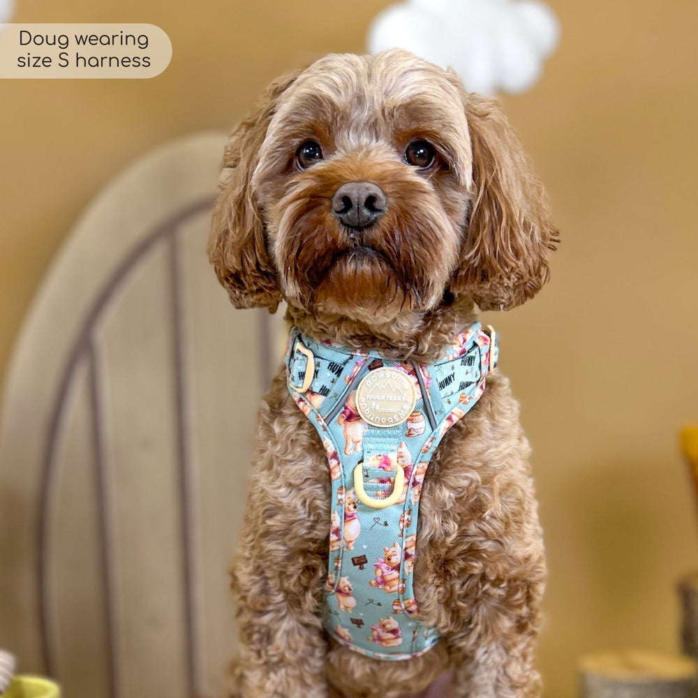 Disney© Tough Trails™ Harness - Winnie The Pooh