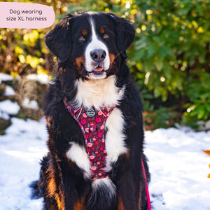 Tough Trails™ Harness - Mable's Meadow