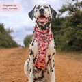 Disney© Tough Trails™ Harness - Sunset Safari
