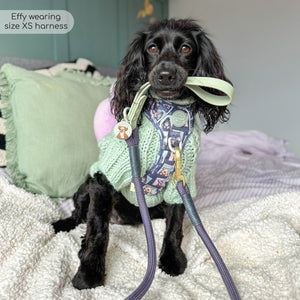 Disney© 4ft Rope Lead - Winnie + Friends - Sage and Blue