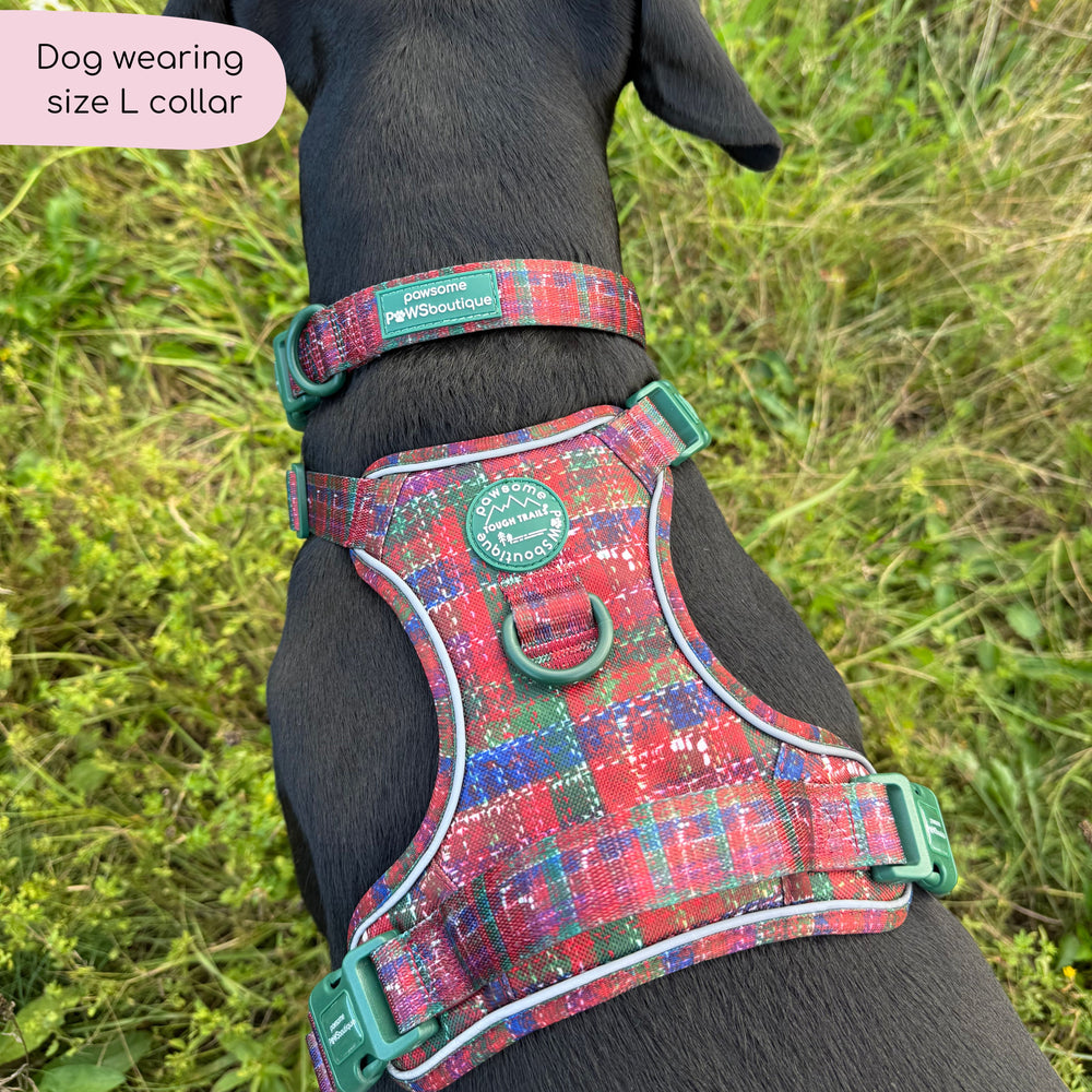 Collar - Yuletide Plaid