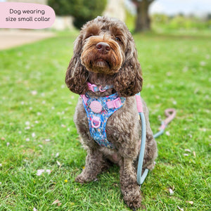 Collar - Whimsical Wildflowers