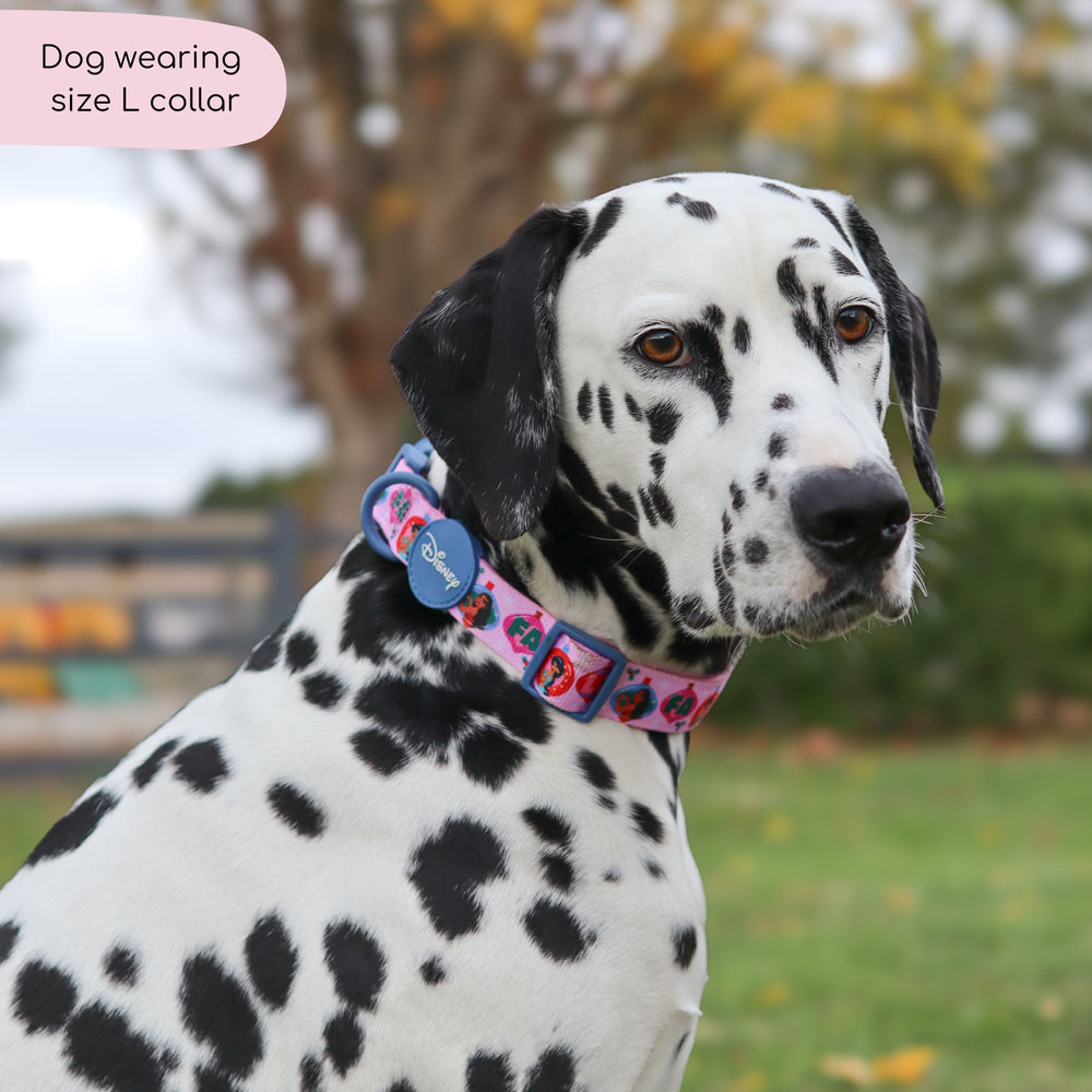 Disney© Collar - Princess