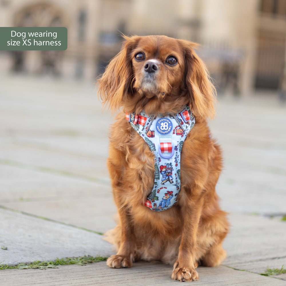 Paddington™ Tough Trails™ Harness - Christmas