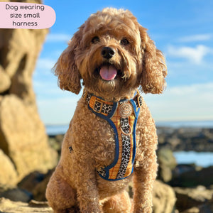 Disney© Tough Trails™ Harness - Woody