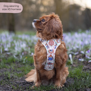 Paddington™ Tough Trails™ Harness - Peckish Paddington