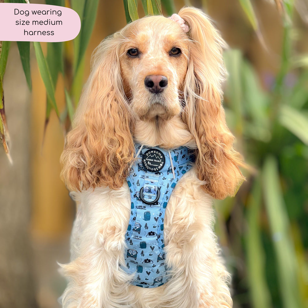 Tough Trails™ Harness - Reuben's Roadtrip