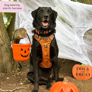 Disney© Tough Trails™ Harness - Halloween