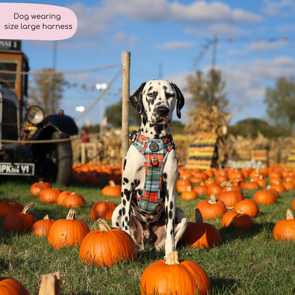 Tough Trails™ Harness - Harvest Plaid