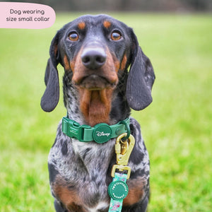 Disney© Waterproof Collar - Jungle Book