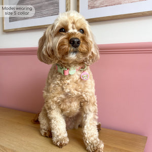 Disney© Waterproof Collar - Nala