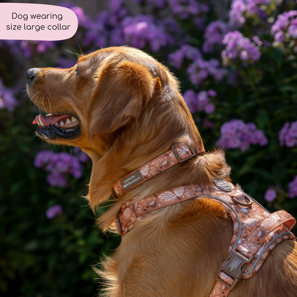 Collar - Cinnamon Spice