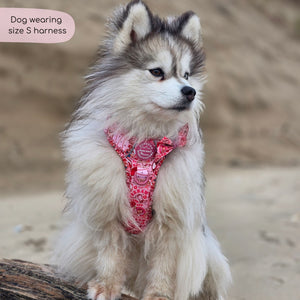 Disney© Tough Trails™ Harness - Jessie