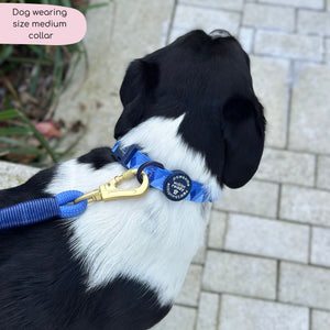 Collar - Walkies Ready® Cornflower Blue