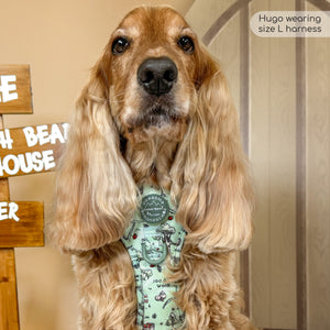 Disney© Tough Trails™ Harness - 100 Aker Wood