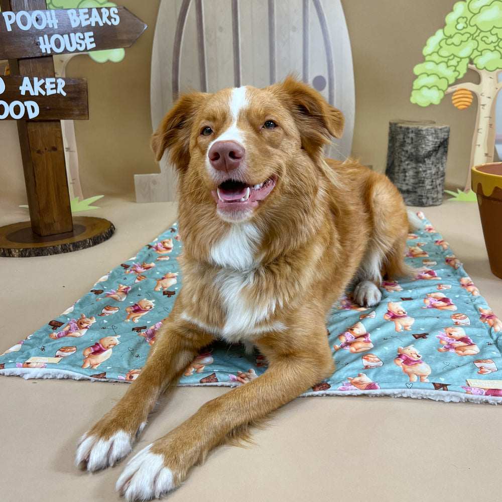 Disney© Dog Blanket - Winnie The Pooh