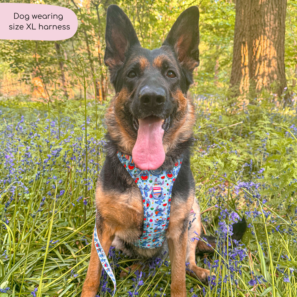 Disney© Tough Trails™ Harness - Stitch's Fruit Fiesta