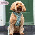 Disney© Tough Trails™ Harness - Rex