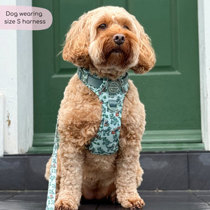 Disney© Tough Trails™ Harness - Rex