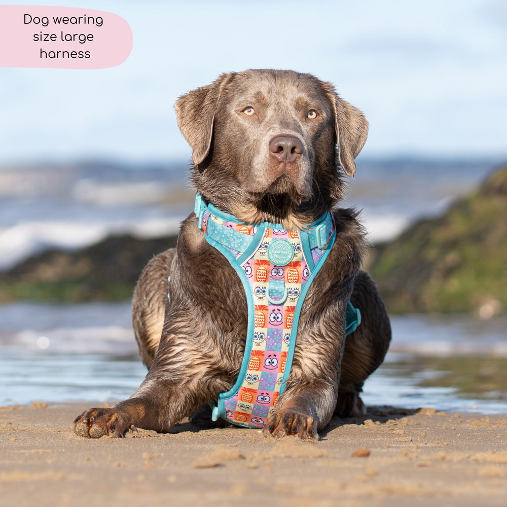 Tough Trails™ Harness - Spongebob