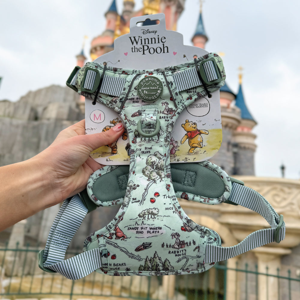 Disney© Tough Trails™ Harness - 100 Aker Wood