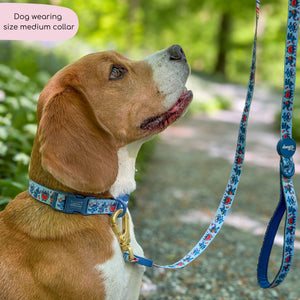 Disney© Collar - Stitch's Fruit Fiesta