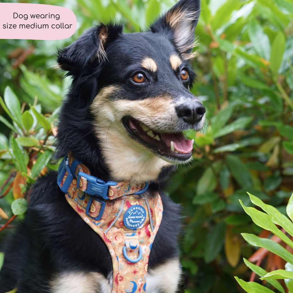 Collar - Celestial Spirit