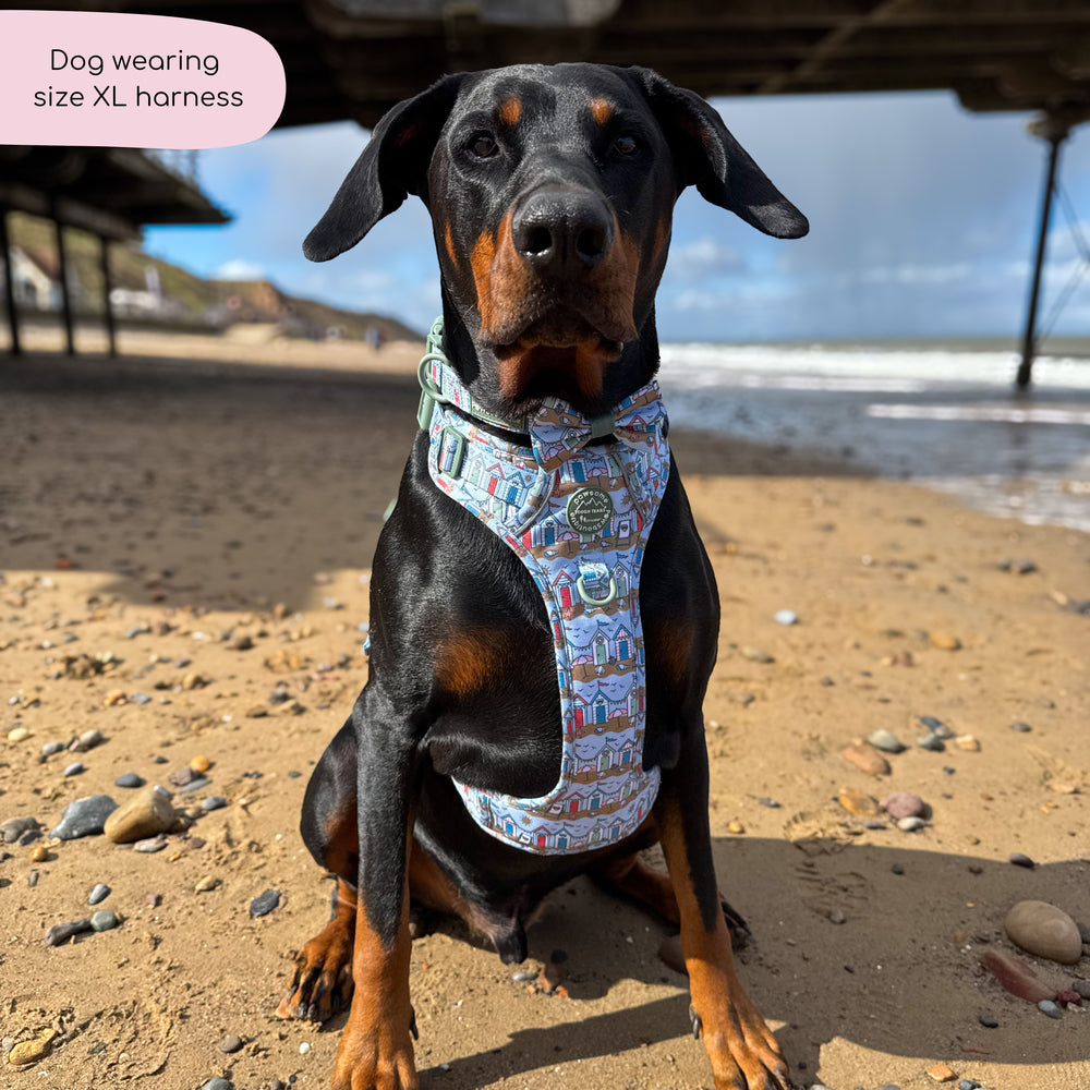 Tough Trails™ Harness -  Sandy Shores