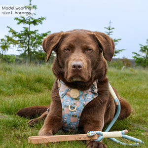 Disney© Tough Trails™ Harness - Lion Friends