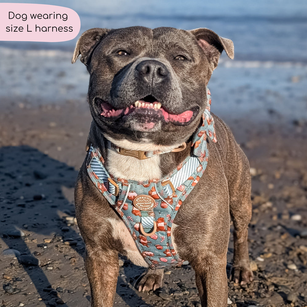 Disney© Tough Trails™ Harness - Gingerbread Bear Sage