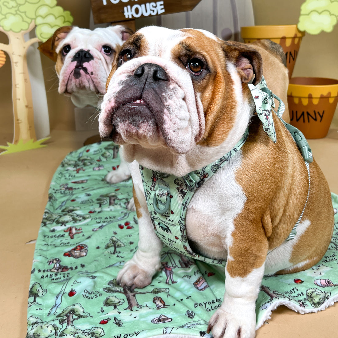 Disney© Dog Blanket - 100 Aker Wood