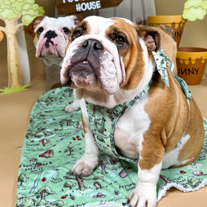 Disney© Dog Blanket - 100 Aker Wood