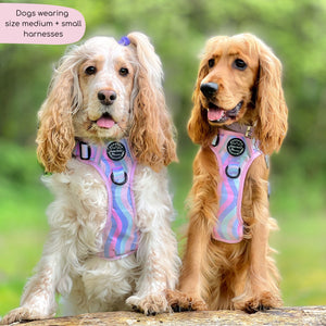 Tough Trails™ Harness - PPB Pastel Swirl