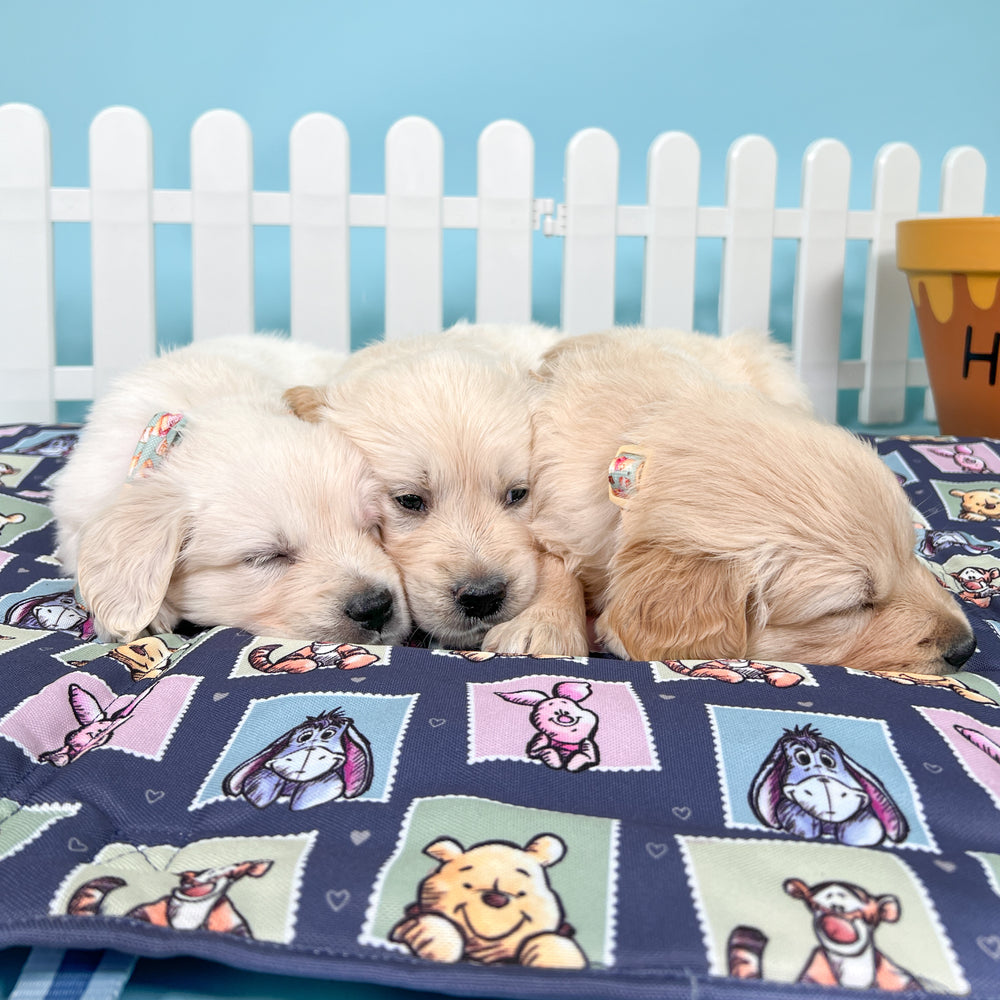 Disney© Travel Mat - Winnie + Friends