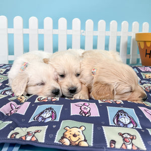 Disney© Travel Mat - Winnie + Friends