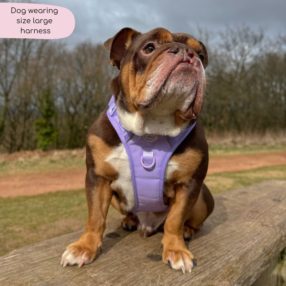 Tough Trails™ Harness - Walkies Ready® Lavender Lilac