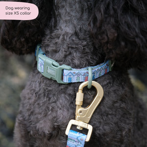 Collar - Sandy Shores