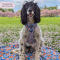 Tough Trails™ Harness -  Rise & Shine