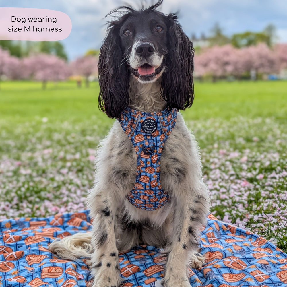 Tough Trails™ Harness -  Rise & Shine