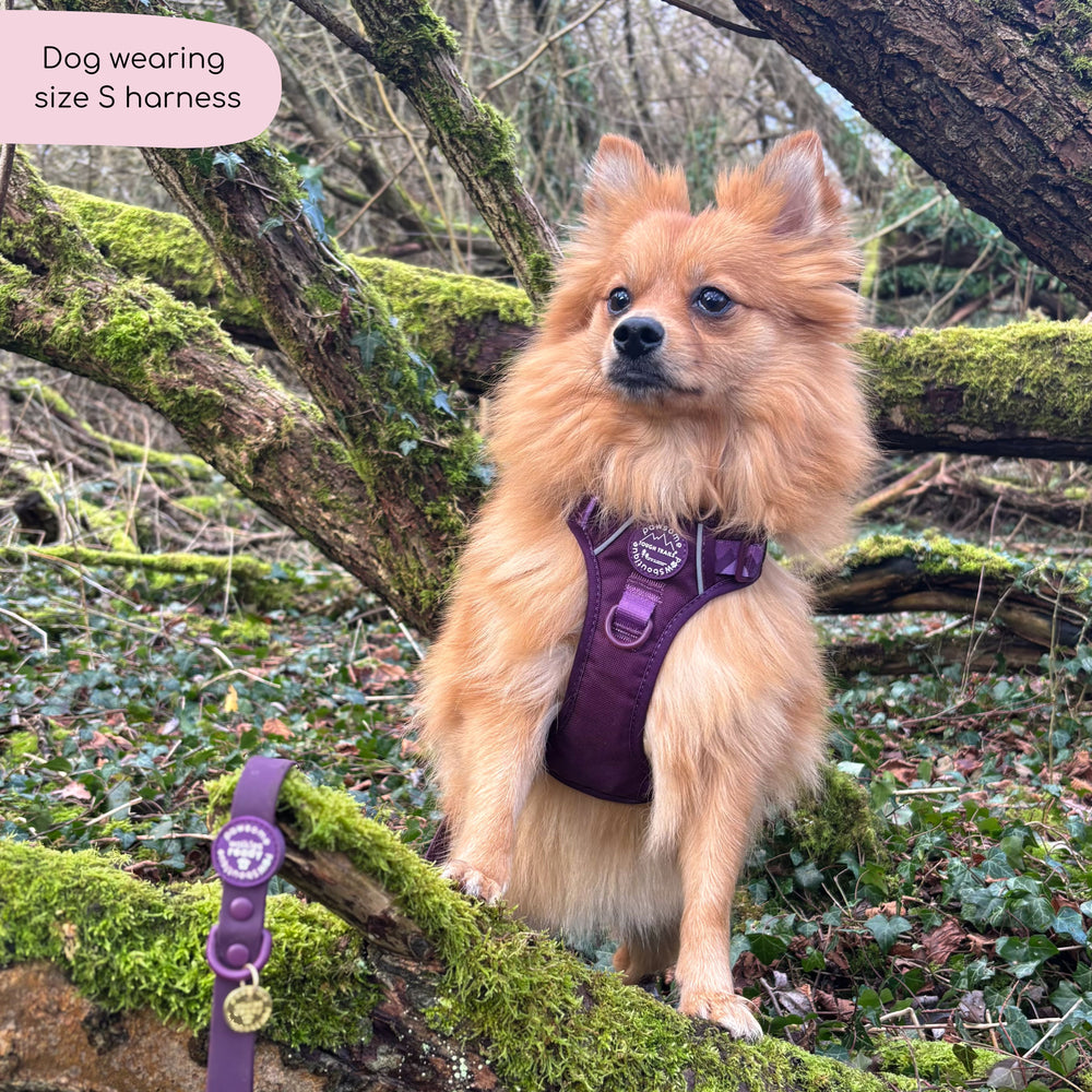 Tough Trails™ Harness - Walkies Ready® Plum