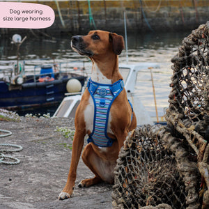 Tough Trails™ Harness -  Sailor Stripes